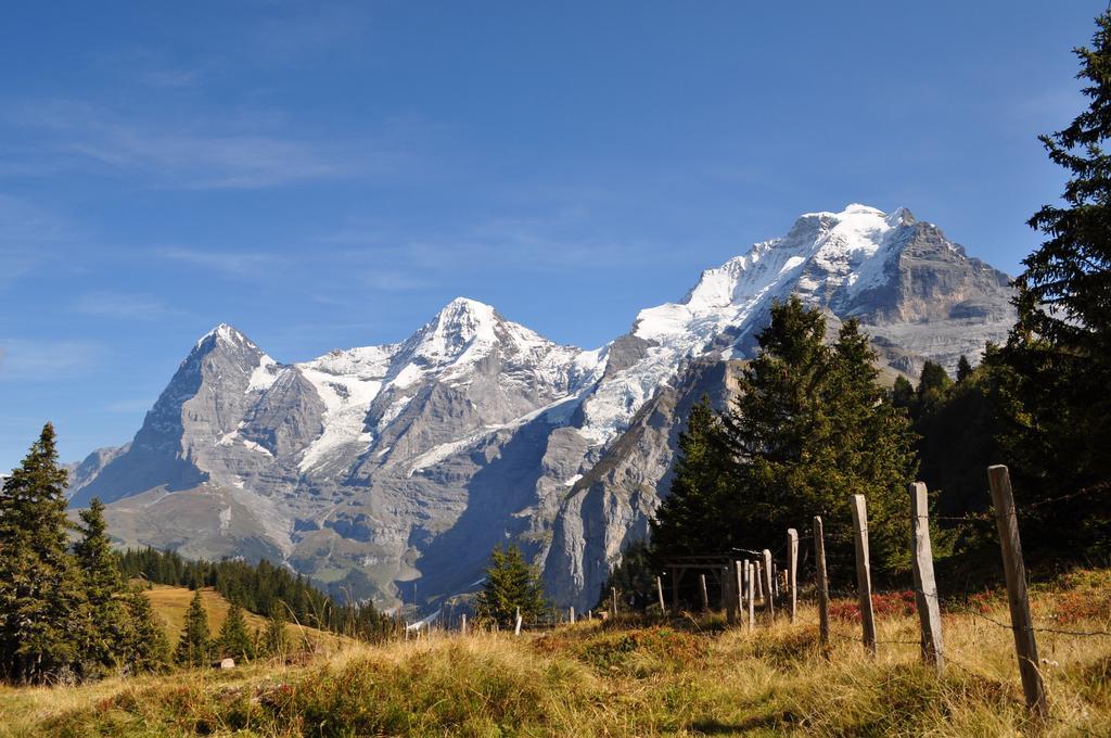 Chalet Bim Chilchli Murren Exterior photo